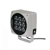 Outdoor low voltage LED projector light